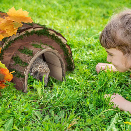 Wooden hedgehog house