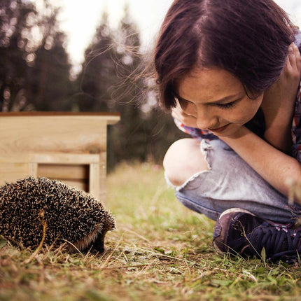 Wooden hedgehog house
