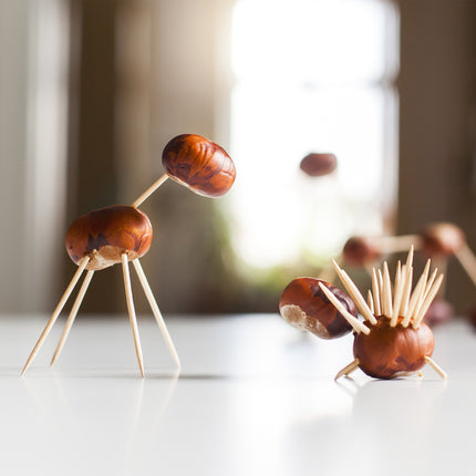 Wooden toothpicks set of 5,000