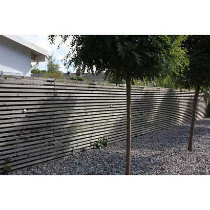 Zenit Duo Wall/terrace 5-pack