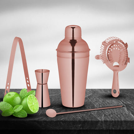 cocktail shaker set in 5 parts