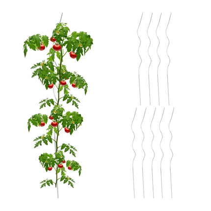 set of 10 spiral rods Tomatoes