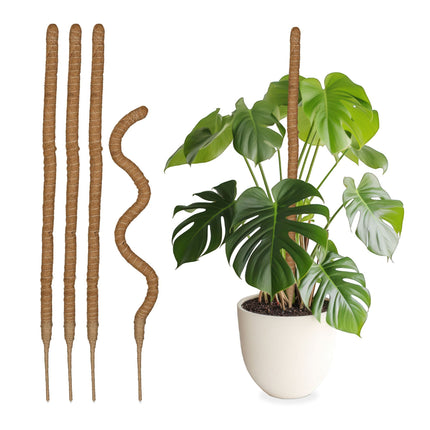 set of 5 coconut sticks 90 cm