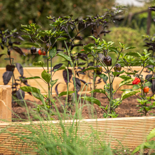 set of 6 plant sticks in metal